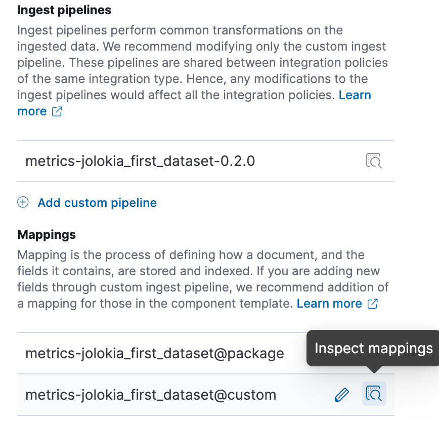 Customization of Ingest Pipelines and Mappings