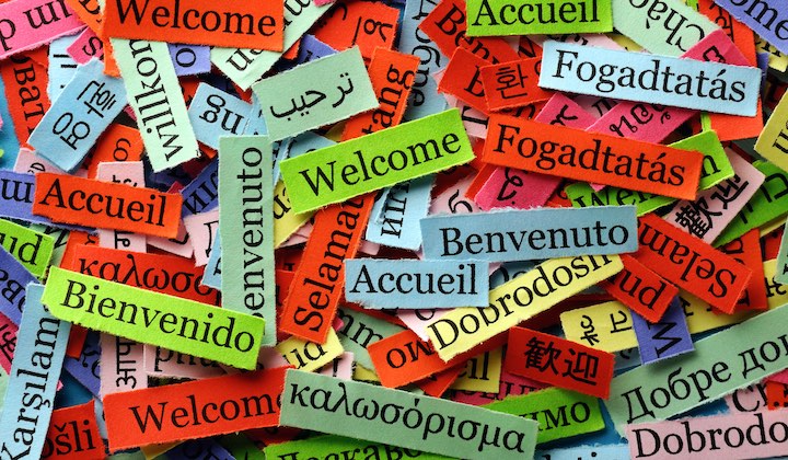 Bienvenidos al blog en español de LanguageTool: Insights