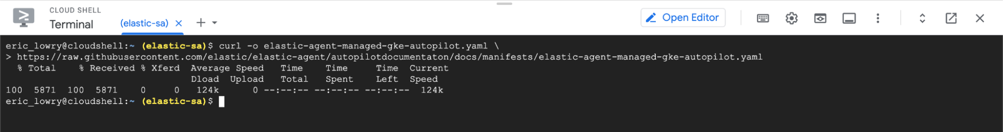 elastic agent GKE autopilot cloud shell editor