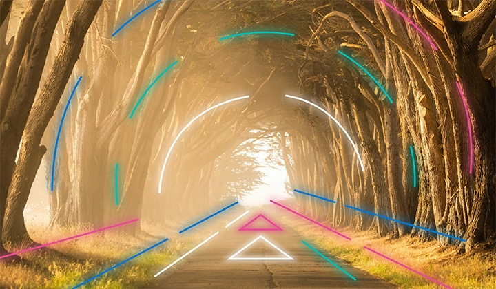 tree_tunnel.jpg