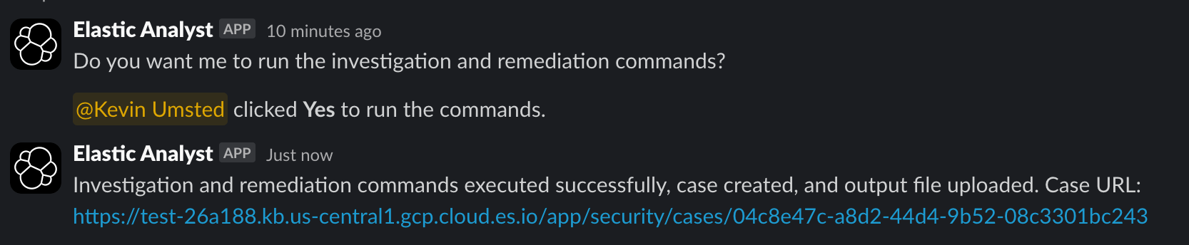 Analyst executed commands