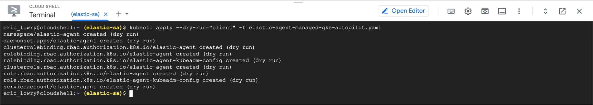 elastic agent GKE autopilot dry run