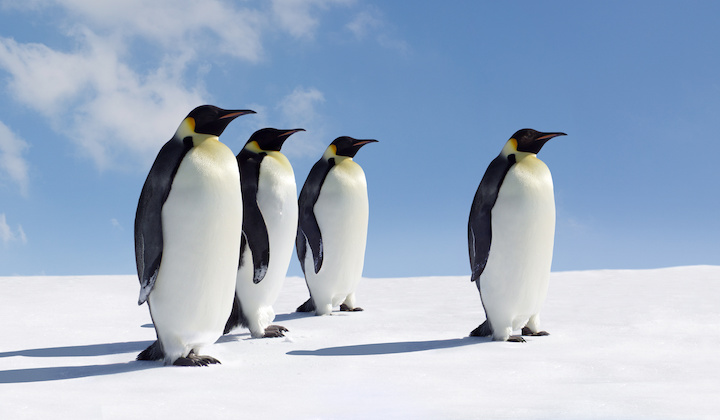 Elastic SIEM for home and small business: Beats on CentOS